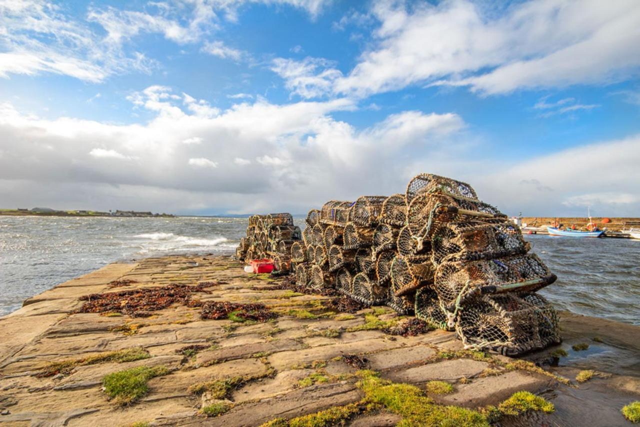 Armadale Cottage Portmahomack Zewnętrze zdjęcie